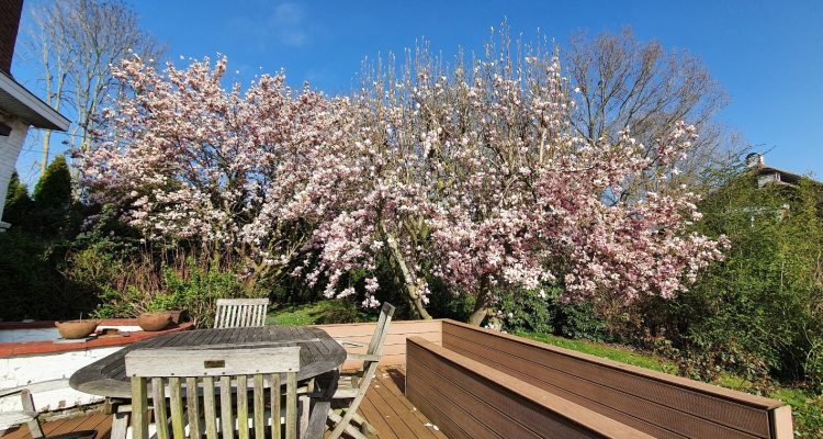 PHOTO-2026-01-20-15-24-53