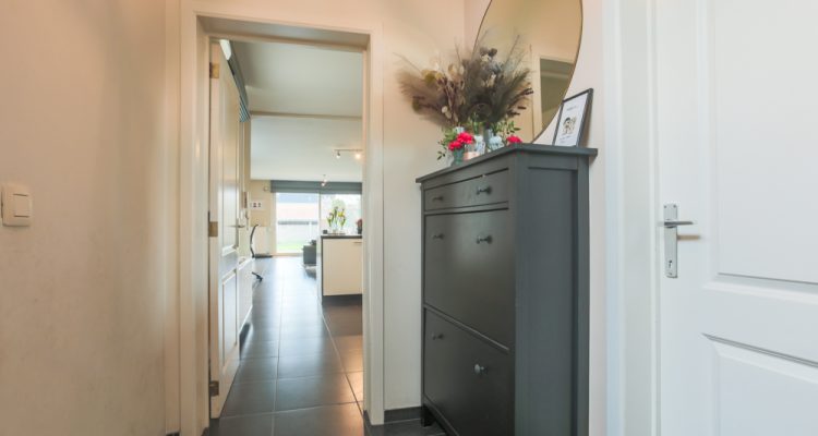 zomergem (20 van 23)