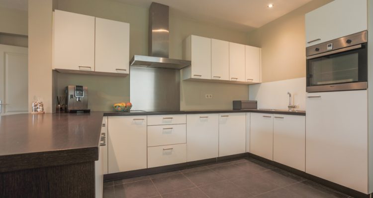 zomergem (22 van 23)